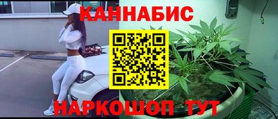 тгк Будённовск