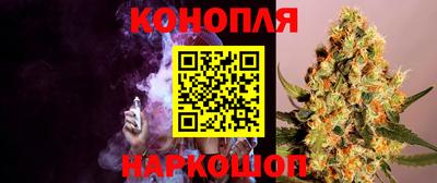 тгк Будённовск