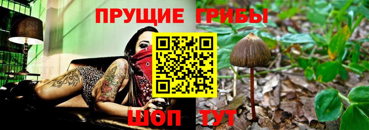 Псилоцибиновые грибы мухоморы  Галлюциногенные грибы Cubensis  Вход с VPN  Санкт-Петербург 