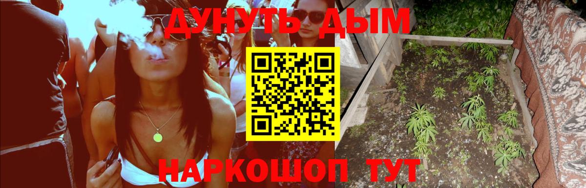 Каннабис OG Kush Санкт-Петербург